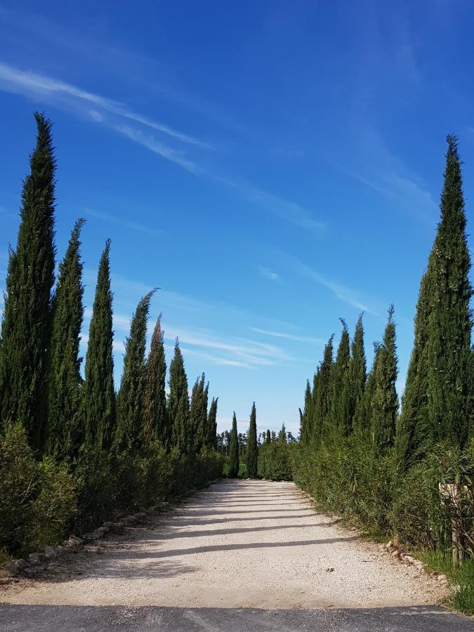 Le Mas Saint Jean Mezoargues Bagian luar foto
